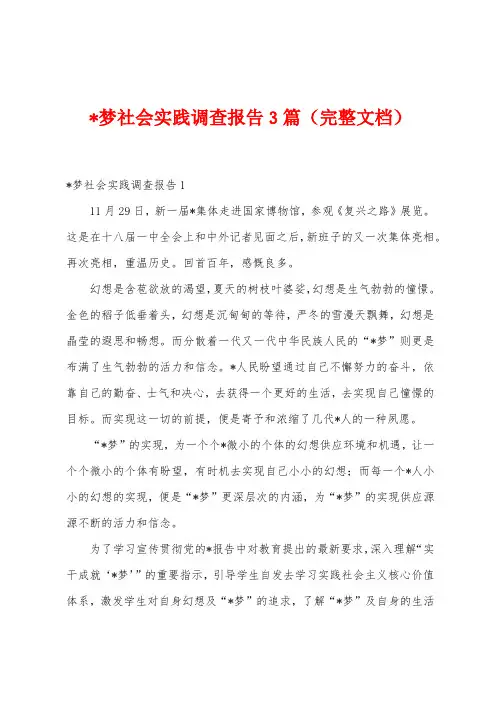 梦社会实践调查报告3篇