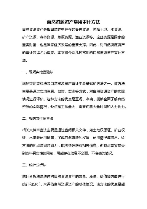 自然资源资产常用审计方法
