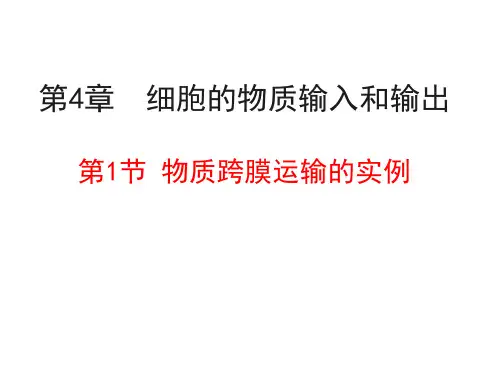 高中生物必修一 4.1物质跨膜运输的实例