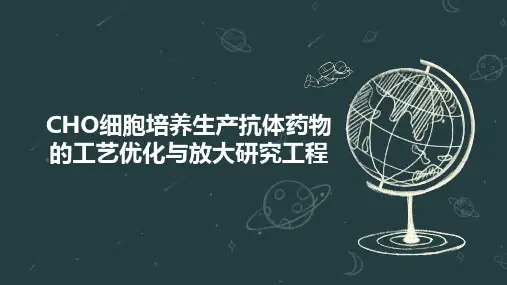 CHO细胞培养生产抗体药物的工艺优化与放大研究工程