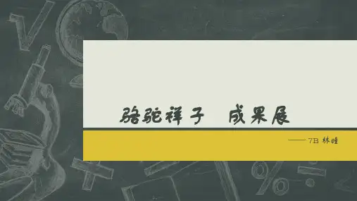 骆驼祥子 成果展示