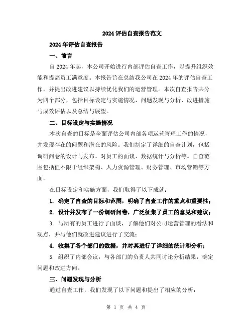2024评估自查报告范文