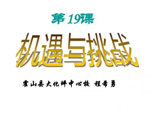 北师版九年级历史   19 机遇与挑战