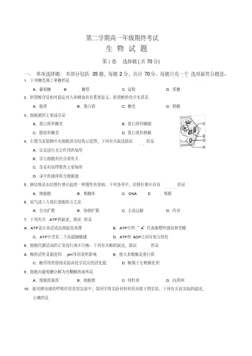江苏省盐城市高一下册考试生物有答案【精校】.doc