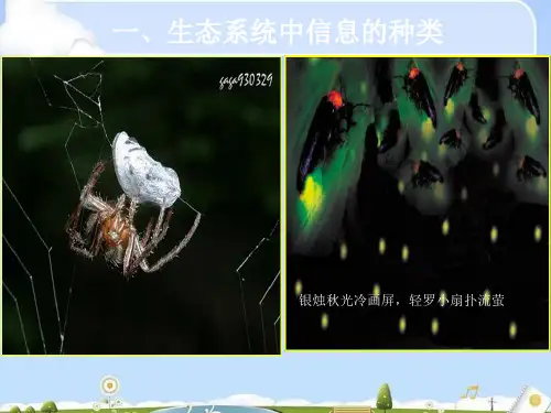 人教版高中生物必修三第5章第4节 生态系统的信息传递  课件(共34张PPT)_2