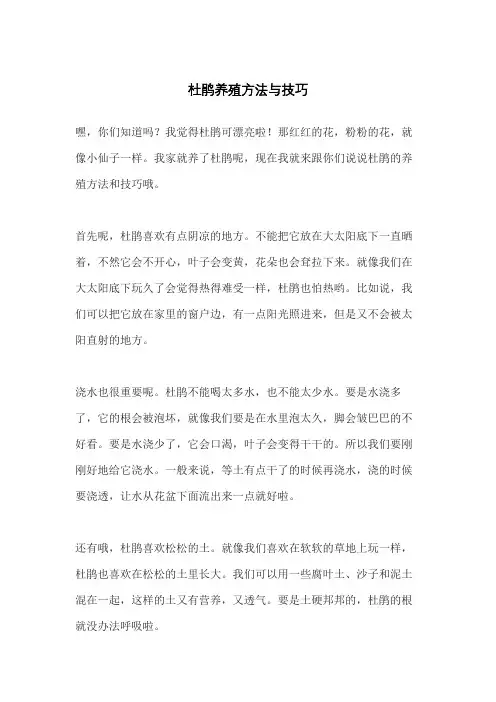 杜鹃养殖方法与技巧