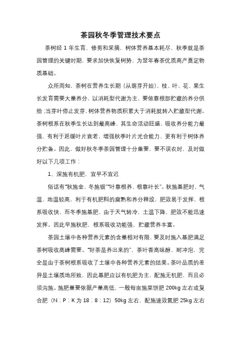 茶园秋冬季管理技术要点