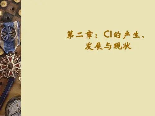 CI战略的产生发展和现状