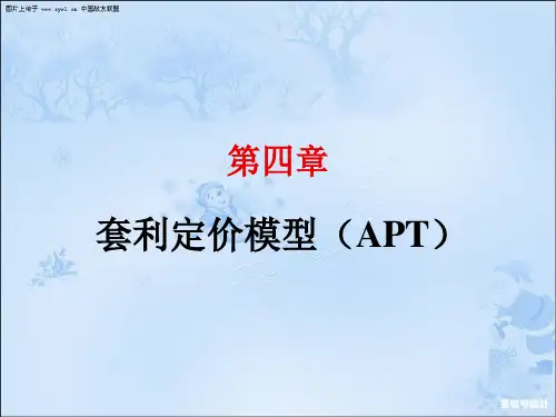 4第四章 APT模型