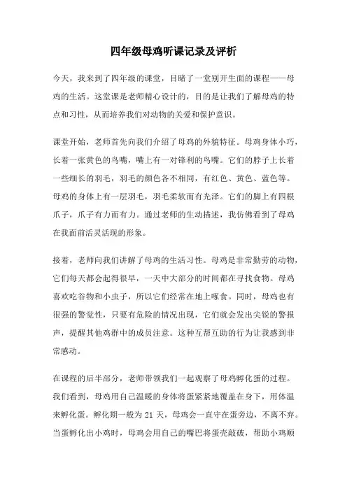 四年级母鸡听课记录及评析