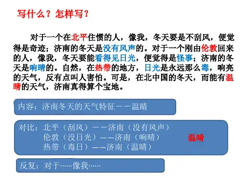 济南的冬天  ppt课件完美版