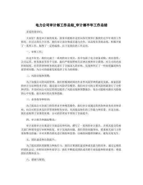 电力公司审计部工作总结_审计部半年工作总结