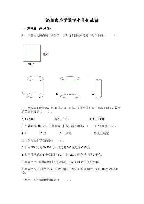 洛阳市小学数学小升初试卷含答案【考试直接用】
