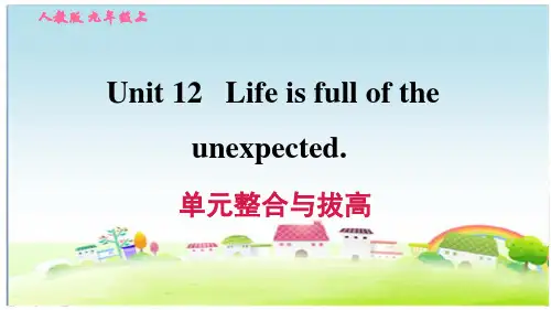 人教版九年级英语下册 Unit 12 单元整合与拔高【习题课件】