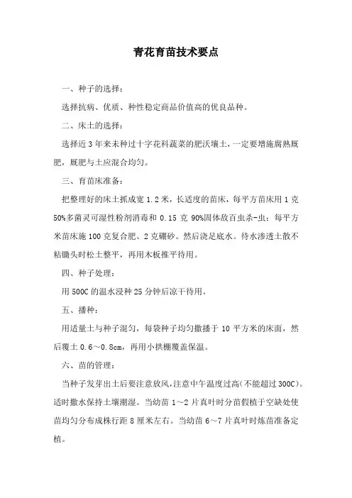 青花育苗技术要点