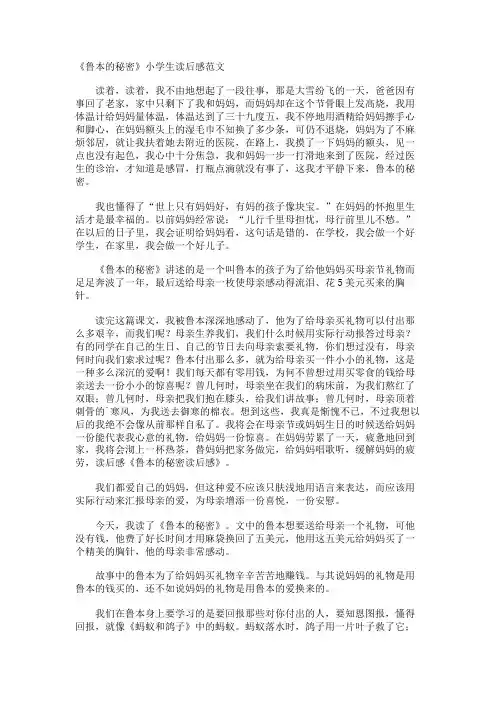 《鲁本的秘密》小学生读后感
