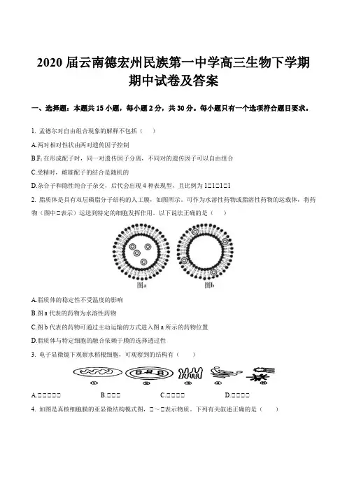 2020届云南德宏州民族第一中学高三生物下学期期中试卷及答案