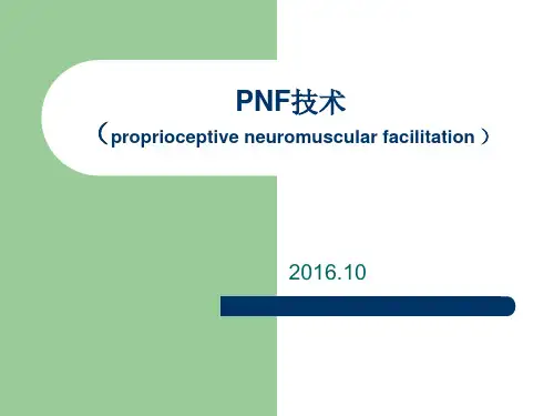 一、PNF的概述