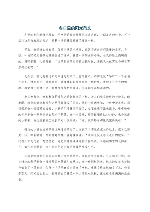 冬日里的阳光范文