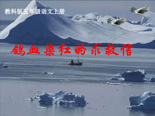 (教科版)小学五年级语文上册 《鸽血染红的求救信》课件(11张PPT)