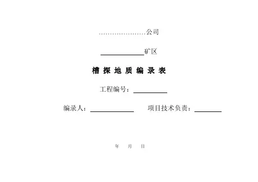 槽探编录式样