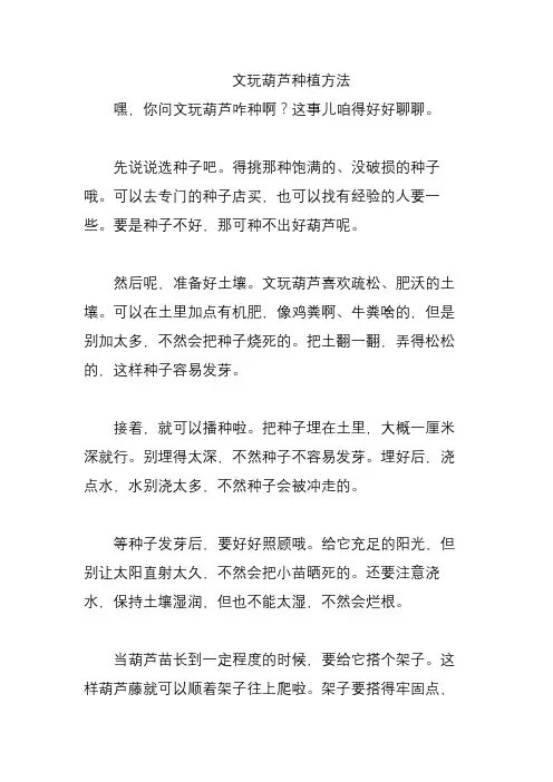 文玩葫芦种植方法