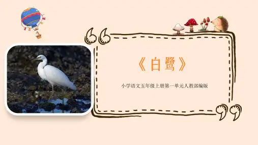 白鹭课件(共27张PPT)