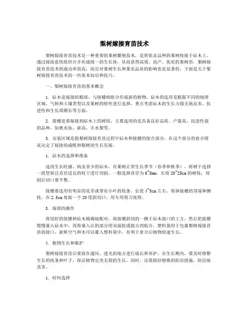 梨树嫁接育苗技术
