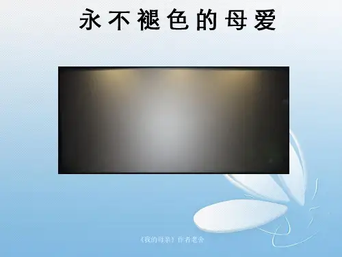 《我的母亲》作者老舍