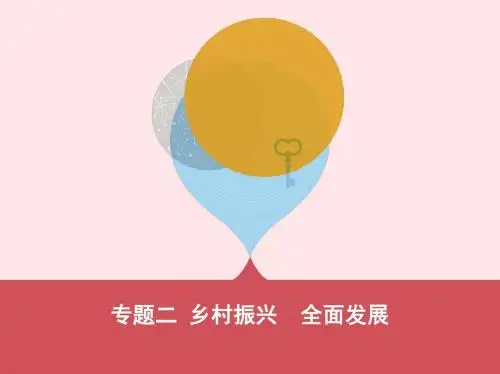 中考道德与法治 第二部分 热点提升篇 专题二 乡村振兴