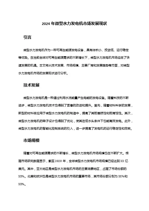 2024年微型水力发电机市场发展现状