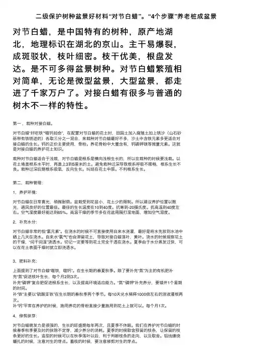 二级保护树种盆景好材料“对节白蜡”。“4个步骤”养老桩成盆景