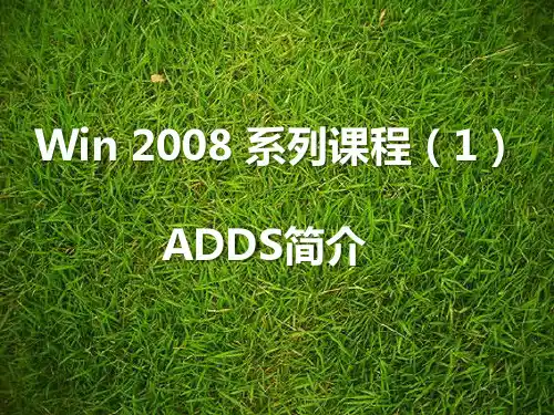 10-ADDS介绍