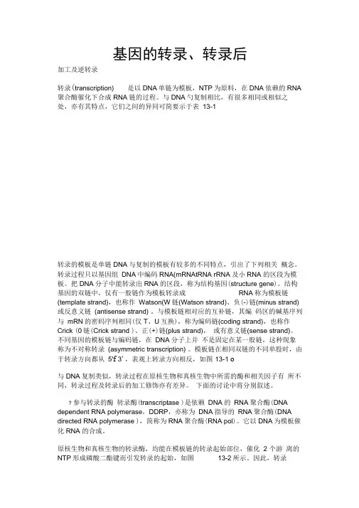 基因的转录、转录后调控