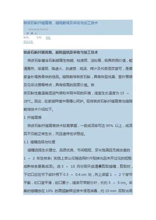 铁皮石斛扦插育苗