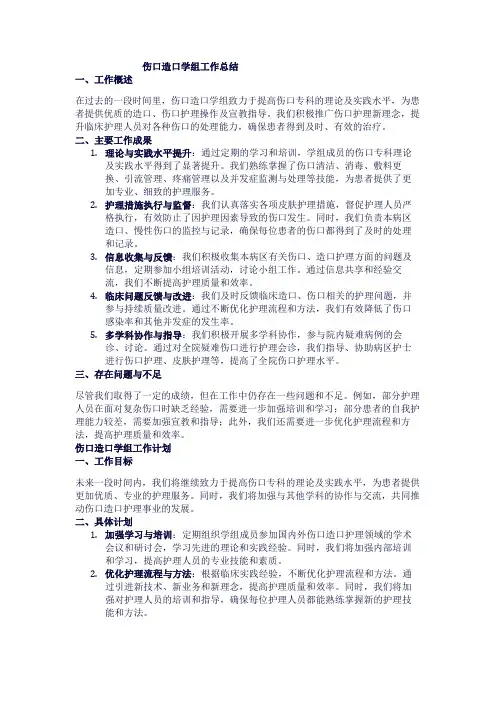伤口造口学组工作总结