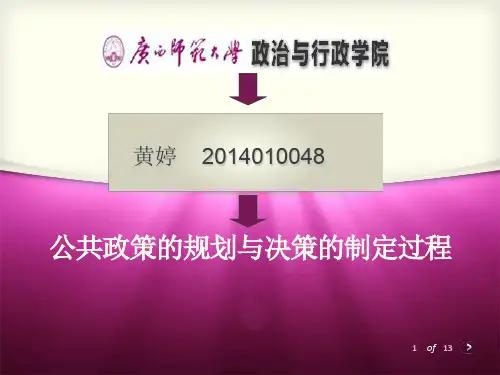 公共政策的规划及制定过程
