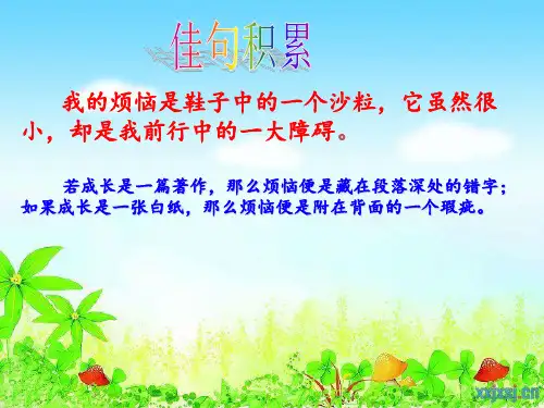 成长的烦恼-教学PPT课件