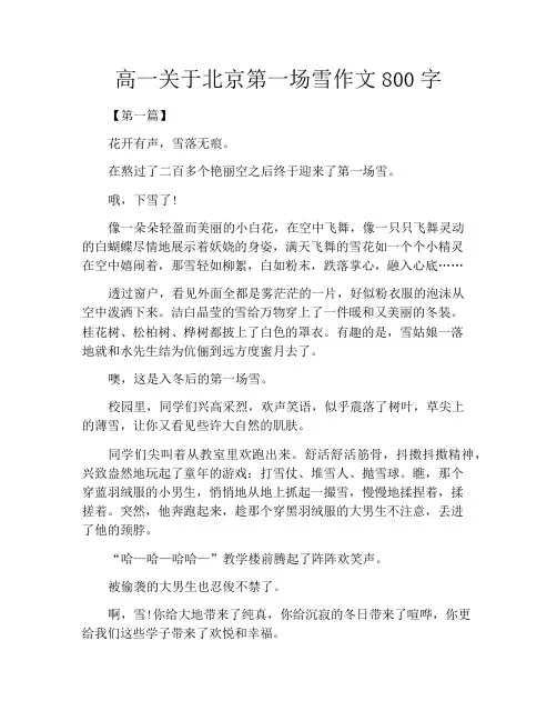 中小学优选作文之高一关于北京第一场雪作文800字