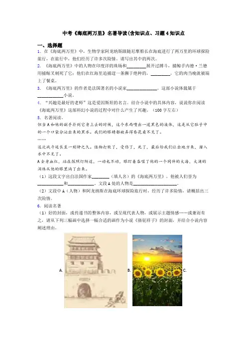 中考《海底两万里》名著导读(含知识点、习题4知识点