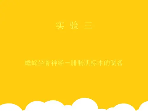 实验三 蟾蜍坐骨神经-腓肠肌标本的制备ppt实用资料