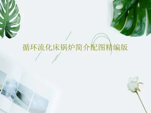 循环流化床锅炉简介配图精编版PPT68页
