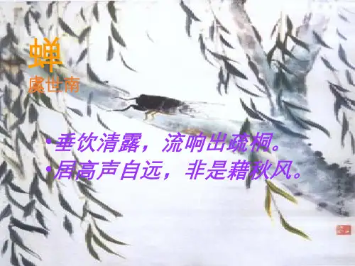 《蝉》 完整版PPT
