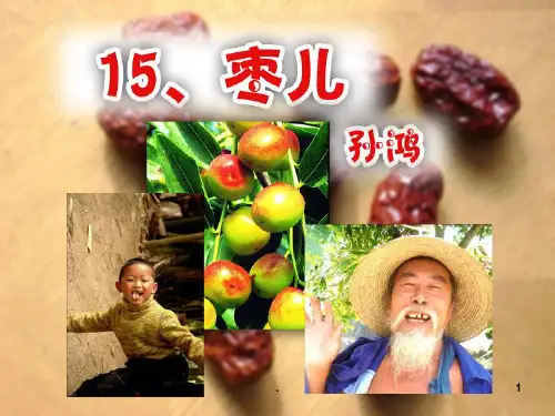 枣儿优秀PPT课件