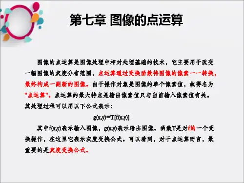 《图像的点运算》PPT课件