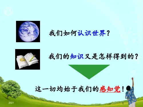 第二章-感知觉PPT课件