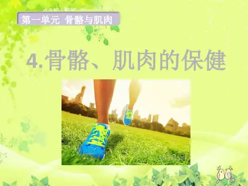 四年级下册科学课件  - 册第一单元第四课骨骼肌肉的保健教学课件共12张PPT 苏教版