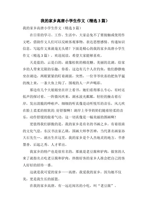 我的家乡高唐小学生作文(3篇)