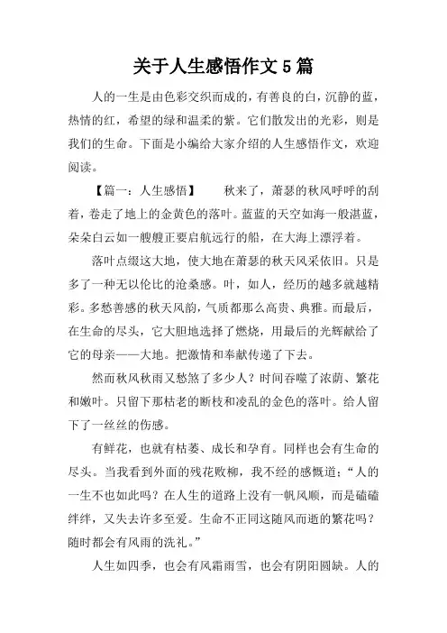 关于人生感悟作文5篇