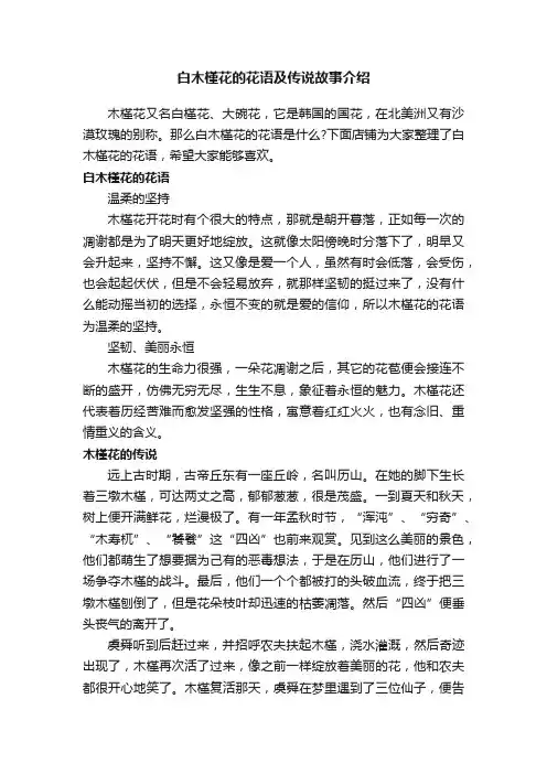 白木槿花的花语及传说故事介绍